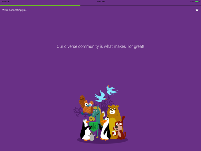 Tor browser для ipad бесплатно гирда подборка сайтов даркнет