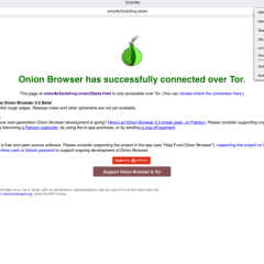 Cómo instalar Tor en iOS (iPhone/iPad) - Tutorial - Onion Browser Screenshot iPad 2